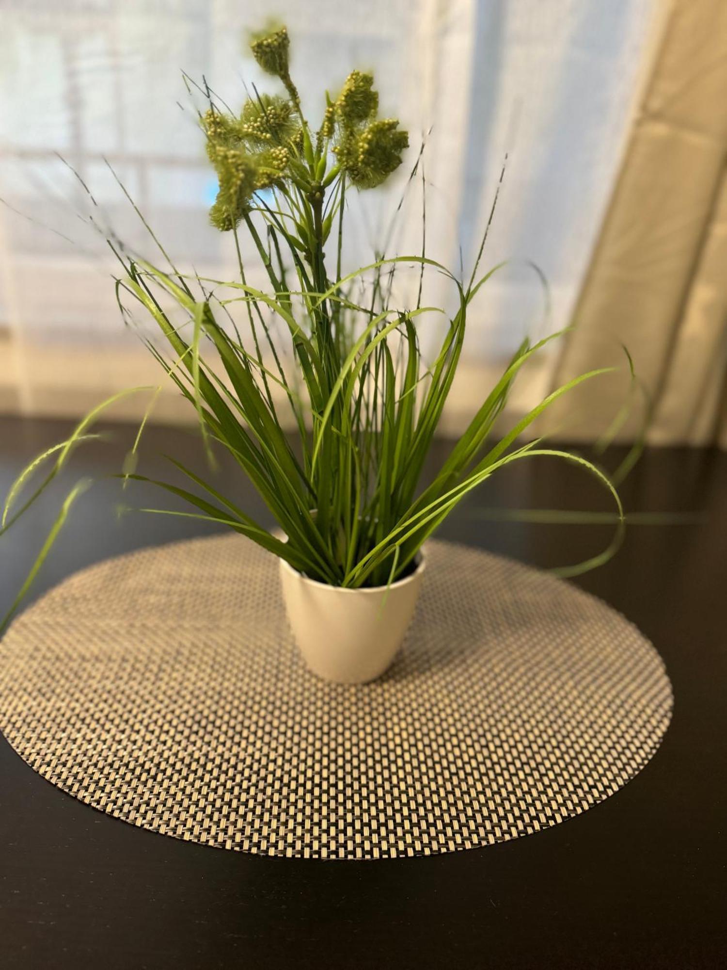 M&Bluxux Apartaments Krefeld Dış mekan fotoğraf